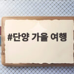 단양 가을 여행 붉은 단풍과 갈대숲을 따라 떠나는 하루 코스 단양 가을 여행
