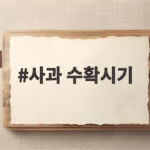 사과 수확시기 품종별 차이와 감홍사과 고르는 법 보관법 정리 사과 수확시기