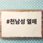 천남성 열매 가을 숲에서 만난 붉은 독초 이야기 천남성 열매