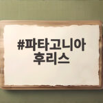 파타고니아 후리스 레트로X 자켓 사기 전에 꼭 알아야 할 이야기 파타고니아 후리스