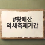 황매산 억새축제기간