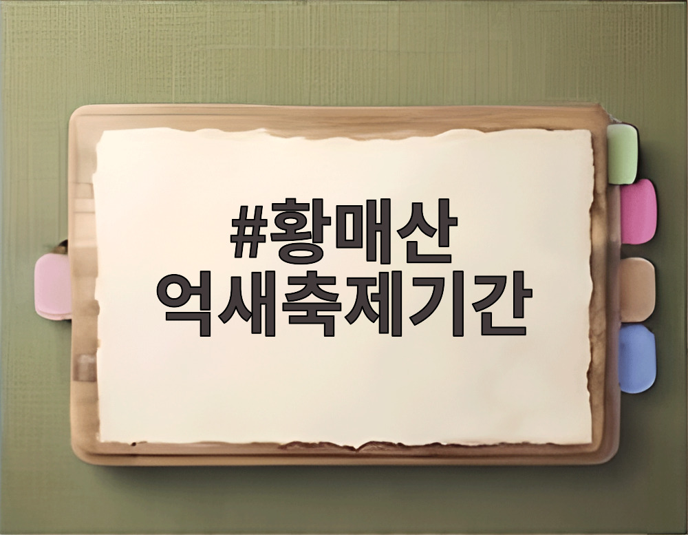황매산 억새축제기간