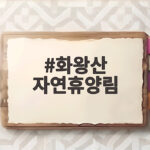 화왕산 자연휴양림 예약부터 숙박까지 한눈에 보는 쉼표 화왕산 자연휴양림