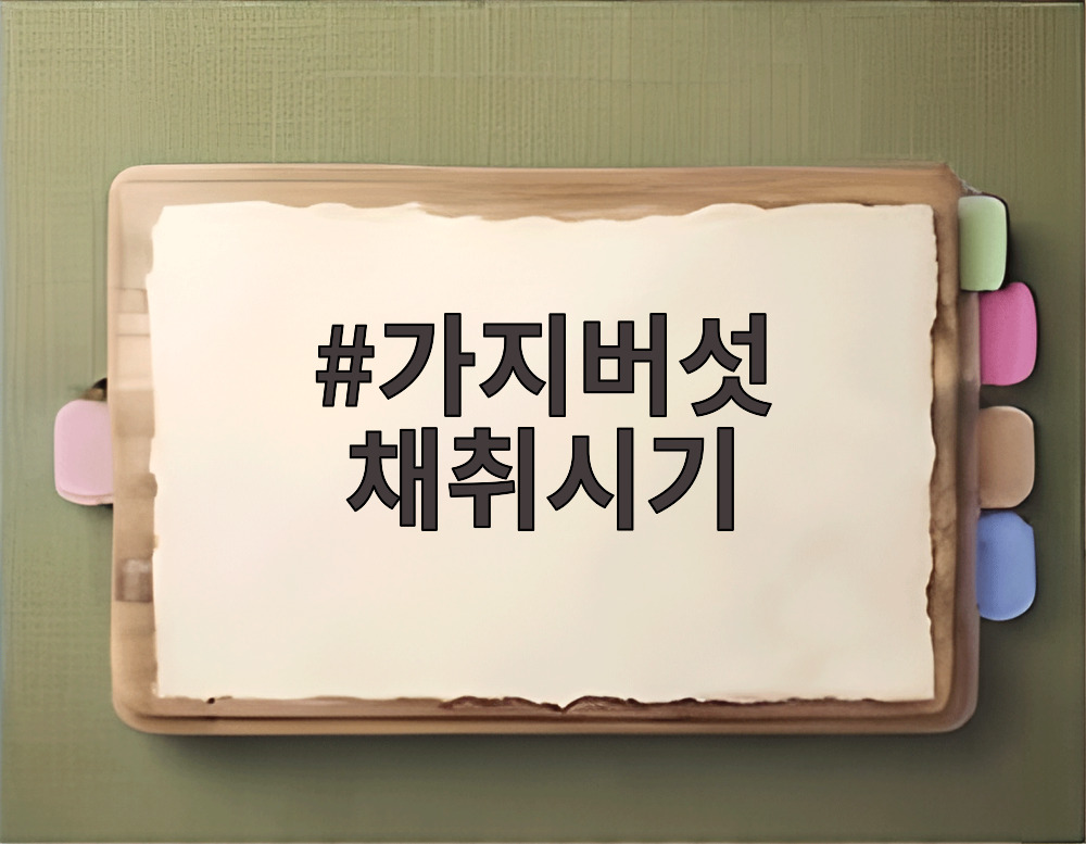 가지버섯 채취시기