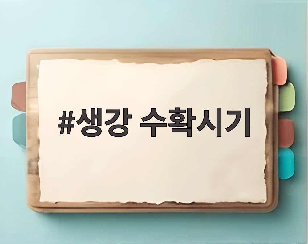 생강 수확시기