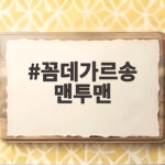 꼼데가르송 맨투맨