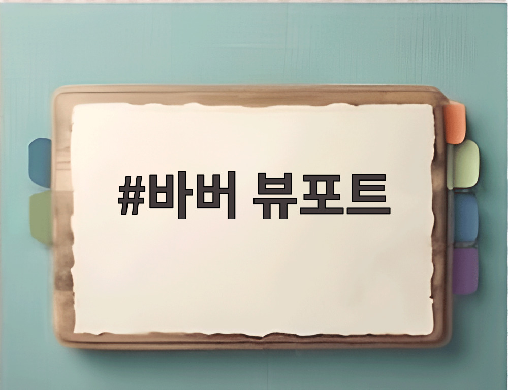 바버 뷰포트