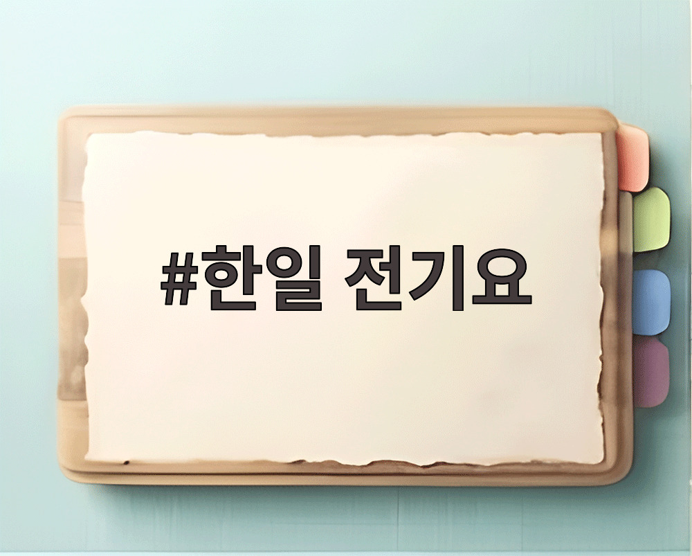 한일 전기요