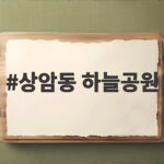 상암동 하늘공원