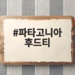 파타고니아 후드티 반값도 안 되는 가격에 구매한 사이즈와 핏 후기 파타고니아 후드티