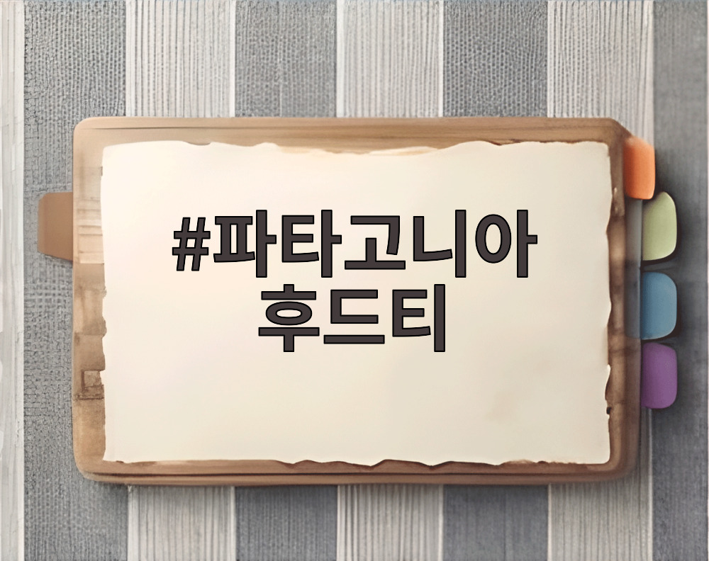 파타고니아 후드티