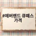 에버랜드 큐패스 가격