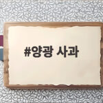 양광 사과