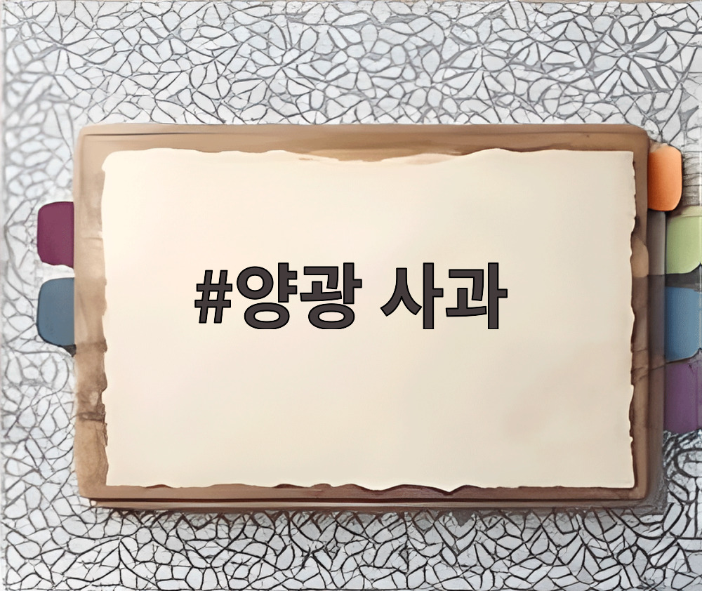 양광 사과