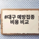 대구 예방접종 비용 비교 무료 대상과 병원별 가격 차이 한눈에 대구 예방접종 비용 비교