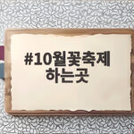 10월꽃축제 하는곳 어디가 좋을까 가을 나들이 일정 총정리 10월꽃축제 하는곳
