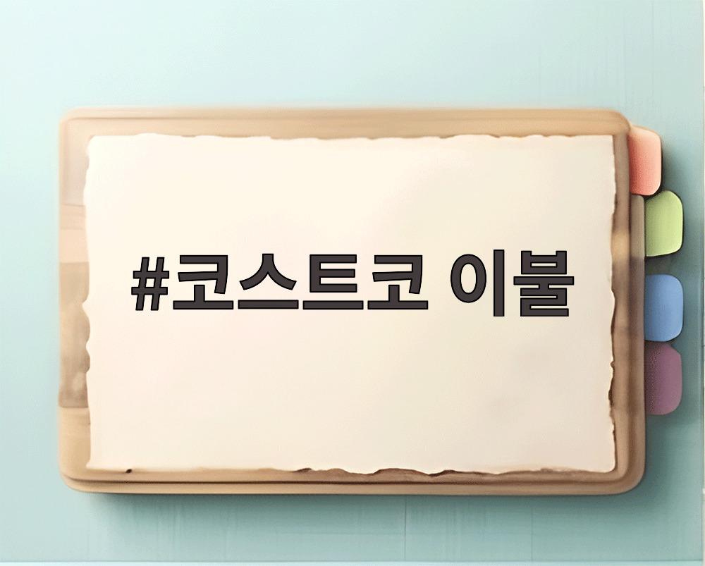 코스트코 이불