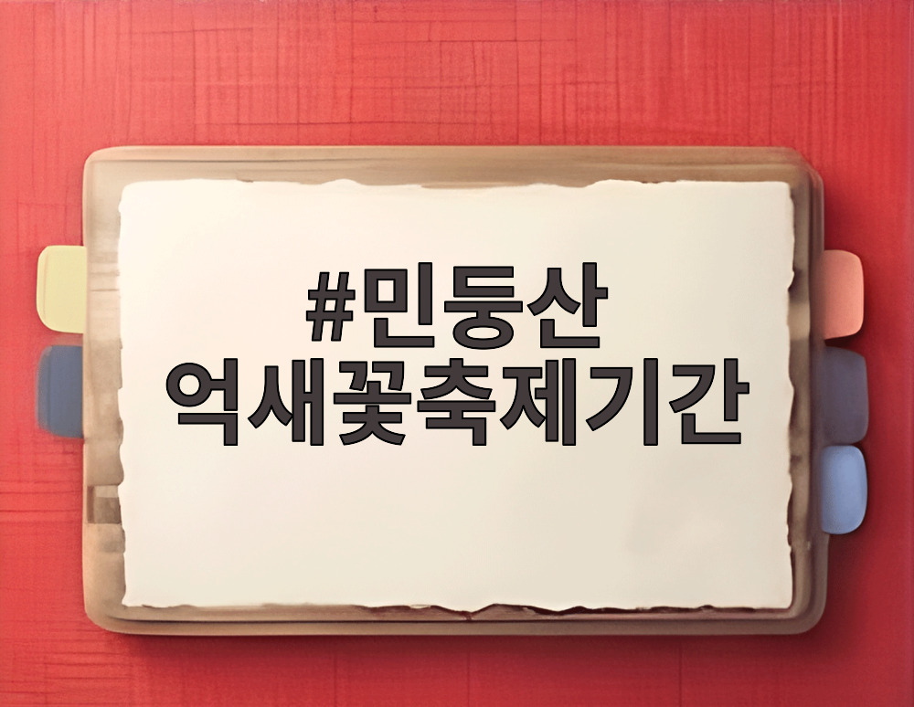 민둥산 억새꽃축제기간