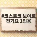 코스트코 보이로 전기요 1인용 할인 기간에 꼭 사야 하는 이유 코스트코 보이로 전기요 1인용