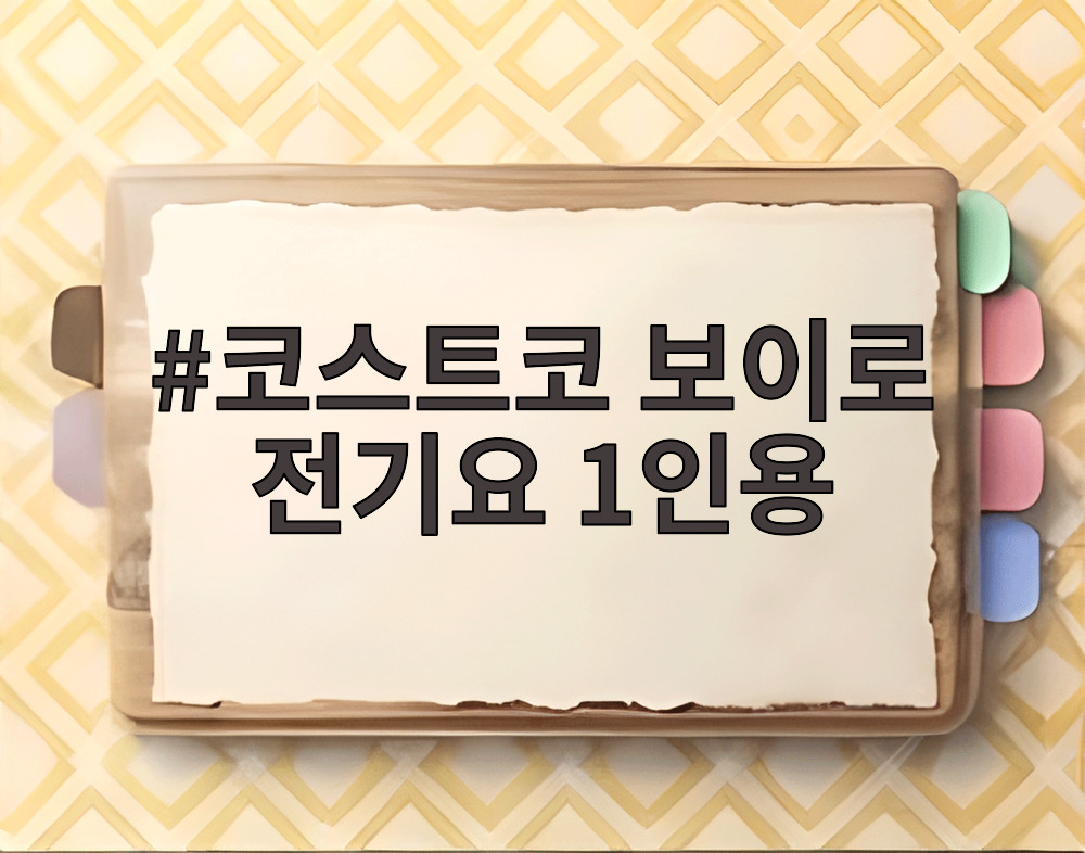 코스트코 보이로 전기요 1인용