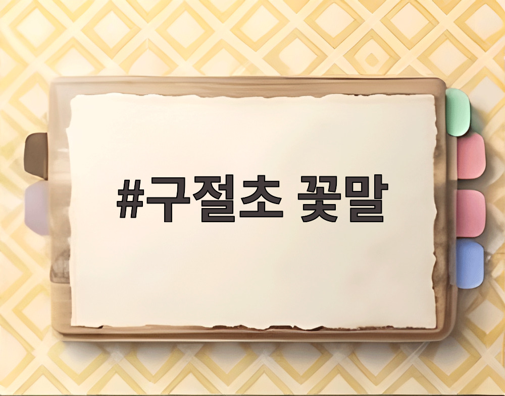 구절초 꽃말