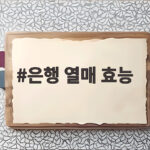 은행 열매 효능 궁금하다면 하루 섭취량과 독성 주의사항까지 은행 열매 효능