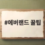 에버랜드 꿀팁 오픈런 없이 스마트줄서기로 하루 종일 즐기는 방법 에버랜드 꿀팁