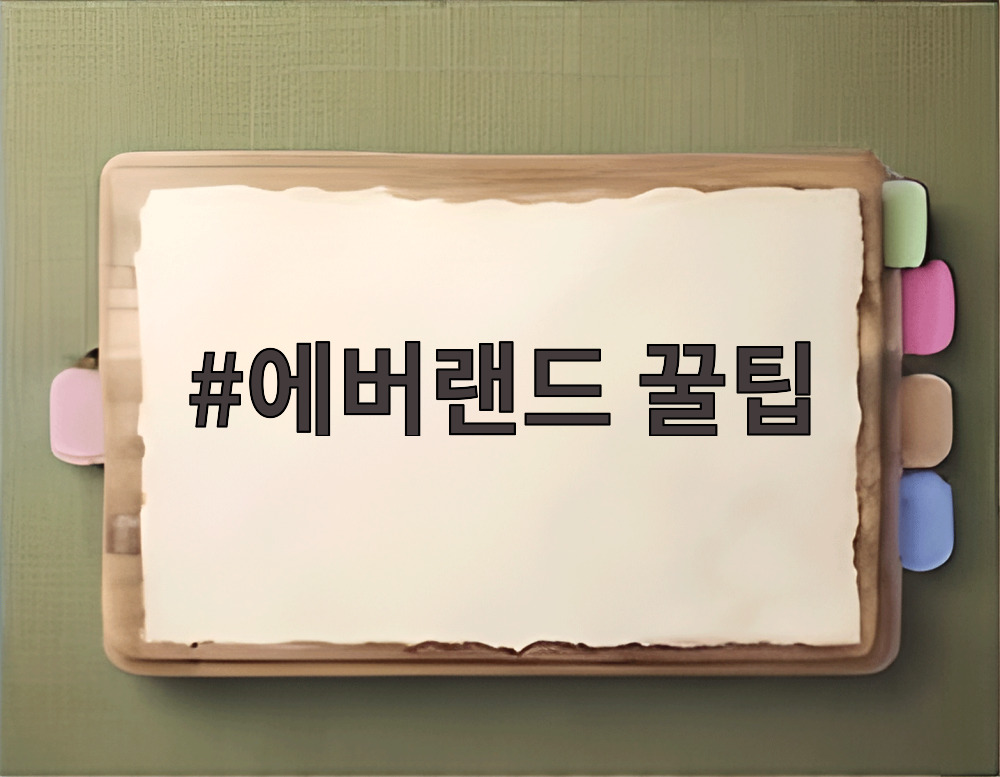 에버랜드 꿀팁