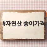 자연산 송이가격 1kg이 30만원과 150만원 사이인 이유 자연산 송이가격