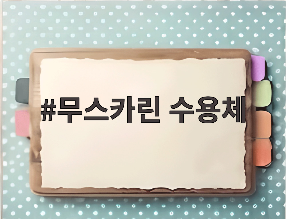 무스카린 수용체