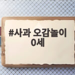 사과 오감놀이 0세 아이와 가을에 꼭 해볼 이유 사과 오감놀이 0세