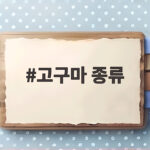 고구마 종류