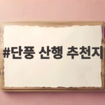단풍 산행 추천지 절정 시기 맞춰 다녀온 베스트 여행지 단풍 산행 추천지
