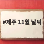 제주 11월 날씨 이렇게 다르다 여행 준비 확인하세요 제주 11월 날씨