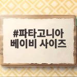 파타고니아 베이비 사이즈 고르기 전에 읽으면 실패 없는 선택 파타고니아 베이비 사이즈