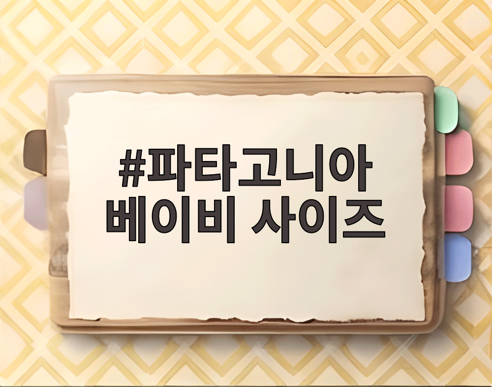 파타고니아 베이비 사이즈