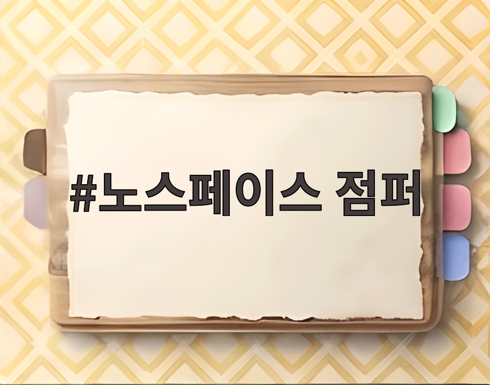 노스페이스 점퍼