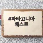파타고니아 베스트