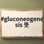 gluconeogenesis 뜻 궁금하다면 여기서 확인하세요 gluconeogenesis 뜻