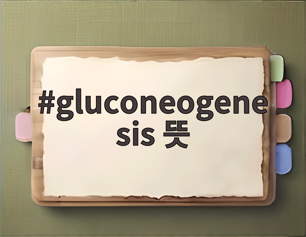 gluconeogenesis 뜻