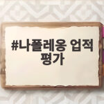 나폴레옹 업적 평가