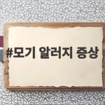모기 알러지 증상 방치하면 위험한 물집 부기 열감 신호 모기 알러지 증상