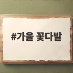 가을 꽃다발