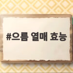 으름 열매 효능 한국 바나나라 불리는 가을 산열매 바로 알고 먹기 으름 열매 효능