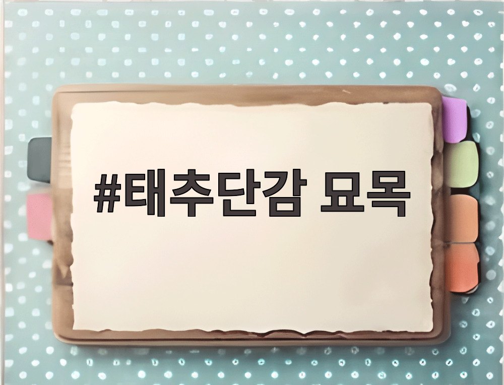 태추단감 묘목