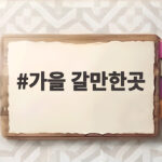 가을 갈만한곳 10월에 만나는 최고의 가을 풍경 베스트 가을 갈만한곳