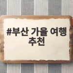 부산 가을 여행 추천 10월 축제 일정과 단풍 명소 한눈에 부산 가을 여행 추천