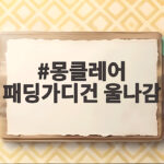 몽클레어 패딩가디건 울나감 걱정된다면 이렇게 관리해보세요 몽클레어 패딩가디건 울나감