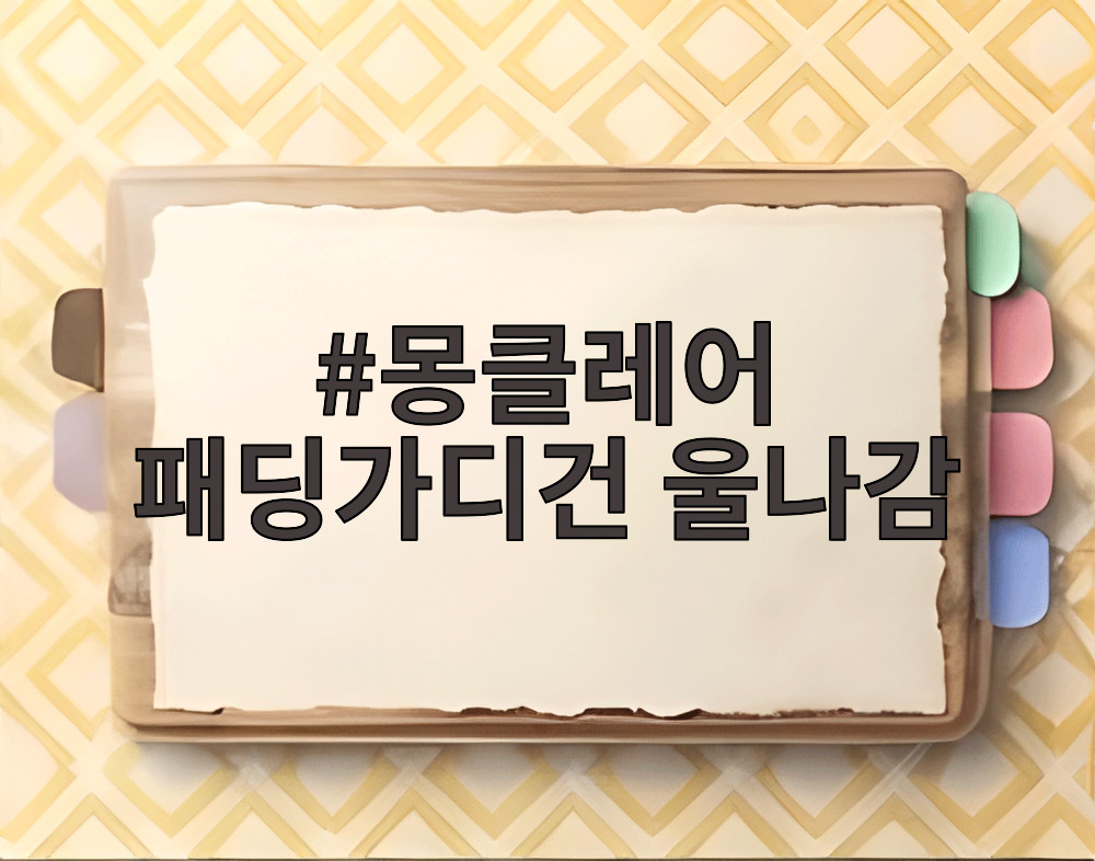 몽클레어 패딩가디건 울나감