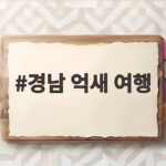 경남 억새 여행